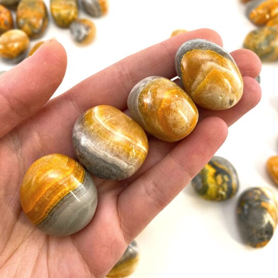 ONE Bumblebee Jasper Tumble (Indonesia) | tumbled bumblebee jasper