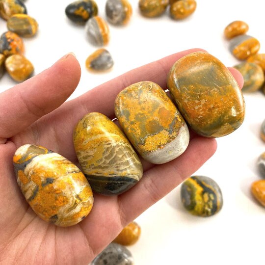 ONE Bumblebee Jasper Tumble (Indonesia) | tumbled bumblebee jasper