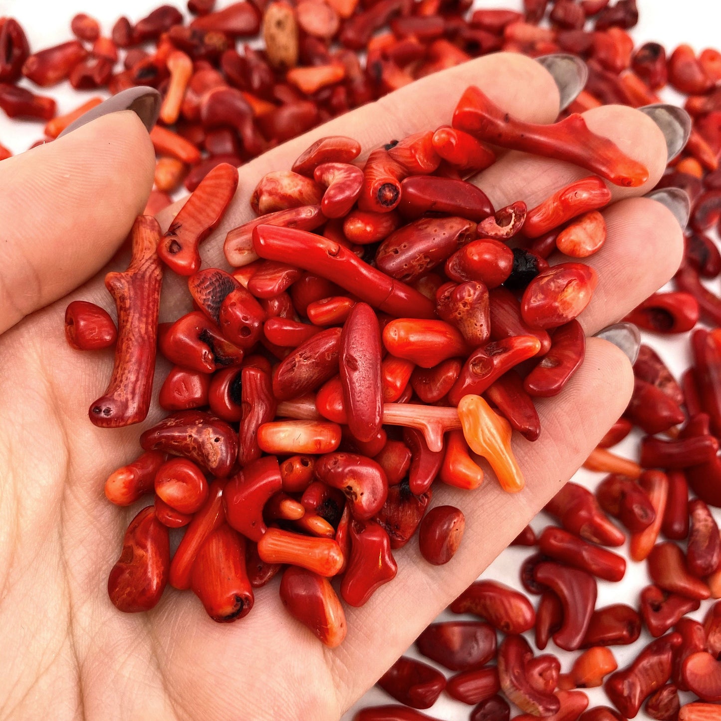20g of Red Coral, mini tumbled stones, tumbled crystal, tumbled red coral, red coral chips