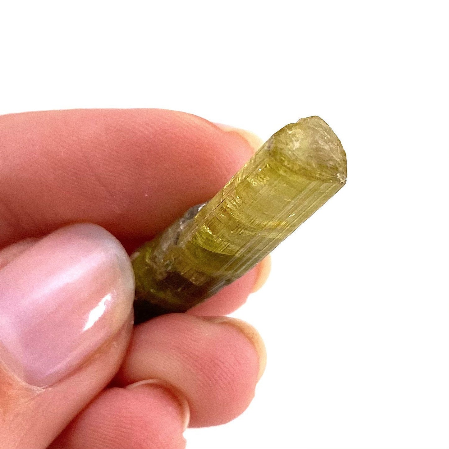 Elbaite Tourmaline (Pakistan), raw tourmaline, natural tourmaline, tourmaline, green tourmaline, tourmaline crystal, bi color tourmaline