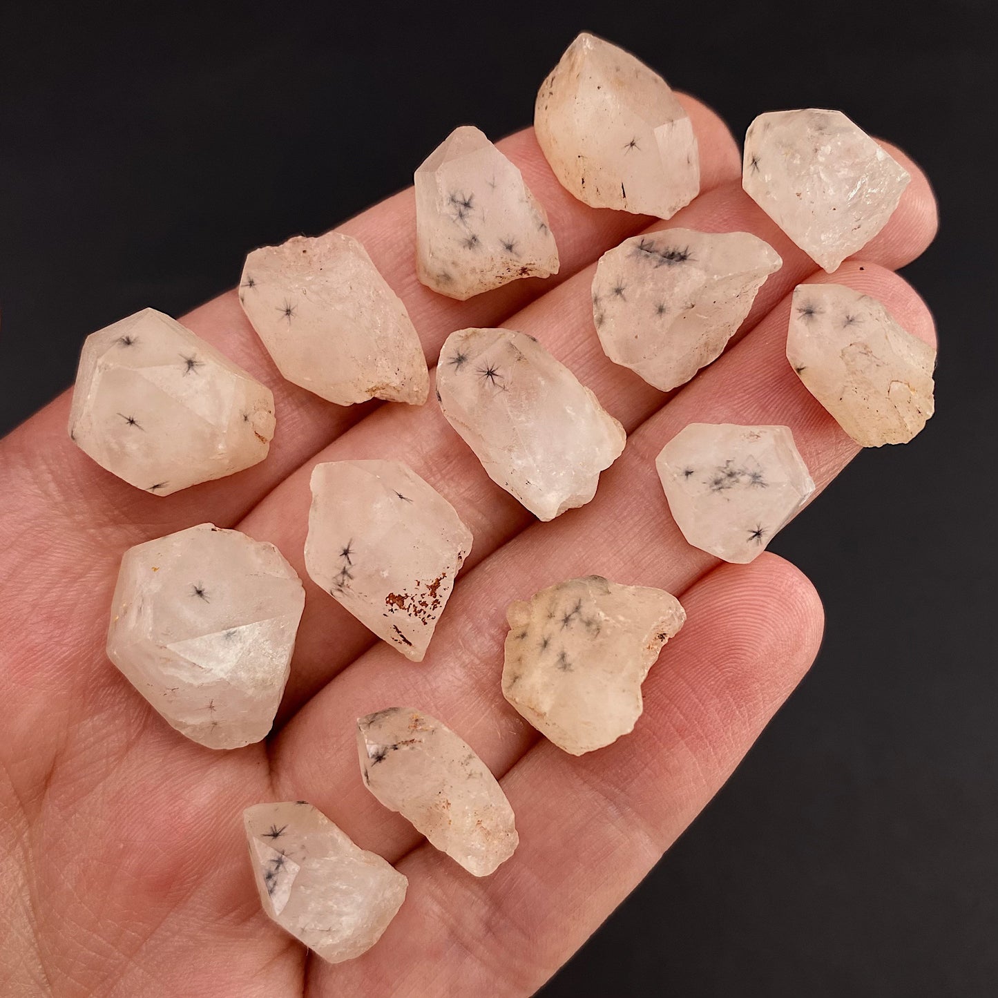 Rare! ONE Hollandite Quartz Point (Madagascar), natural hollandite quartz crystal, spider quartz, spider quartz point