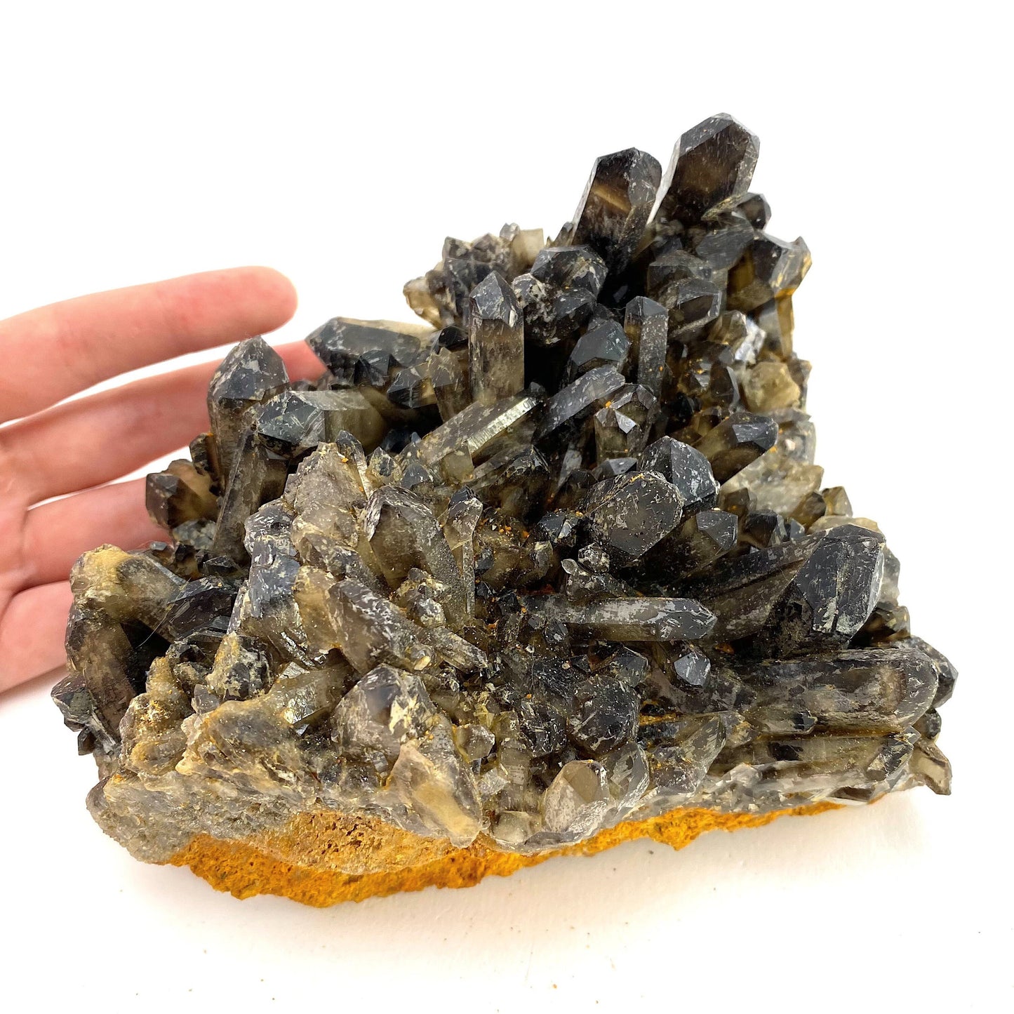 XL Smoky Quartz Cluster, irradiated smoky quartz crystal, raw smoky quartz, smoky quartz point