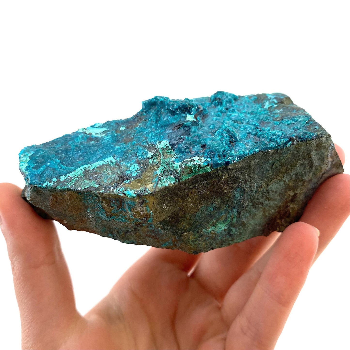Chrysocolla Specimen (Congo), raw chrysocolla, botryoidal chrysocolla, chrysocolla crystal, rare crystals