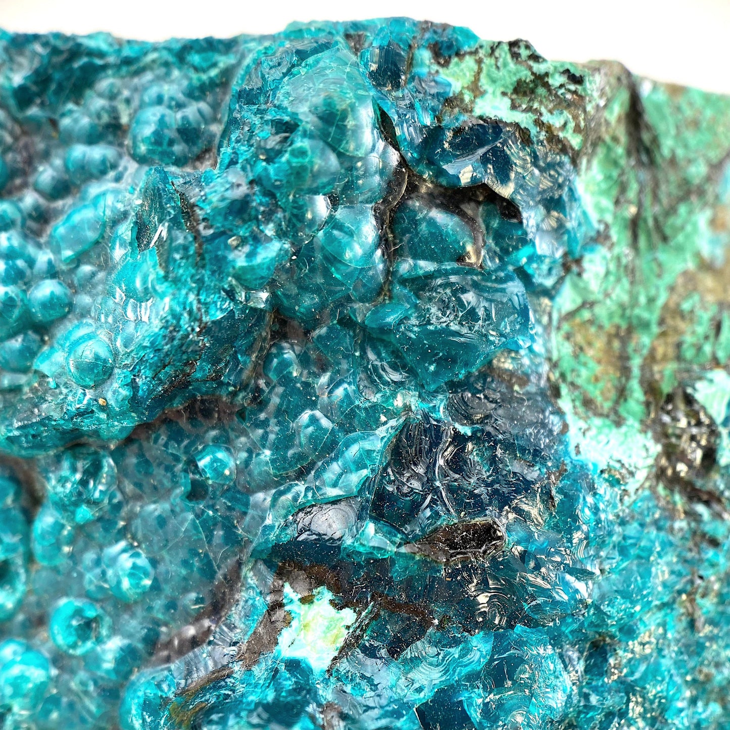 Chrysocolla Specimen (Congo), raw chrysocolla, botryoidal chrysocolla, chrysocolla crystal, rare crystals
