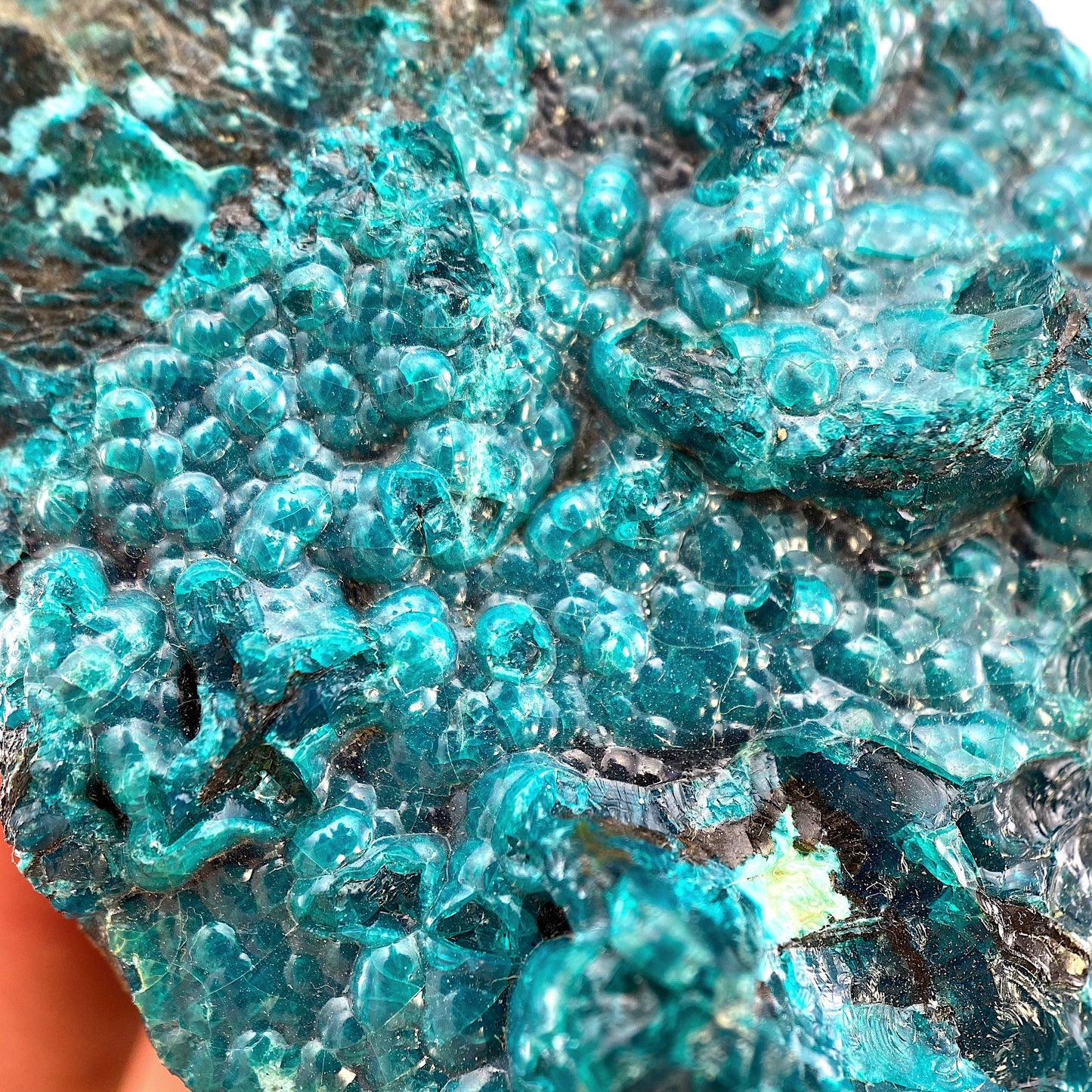 Chrysocolla Specimen (Congo), raw chrysocolla, botryoidal chrysocolla, chrysocolla crystal, rare crystals