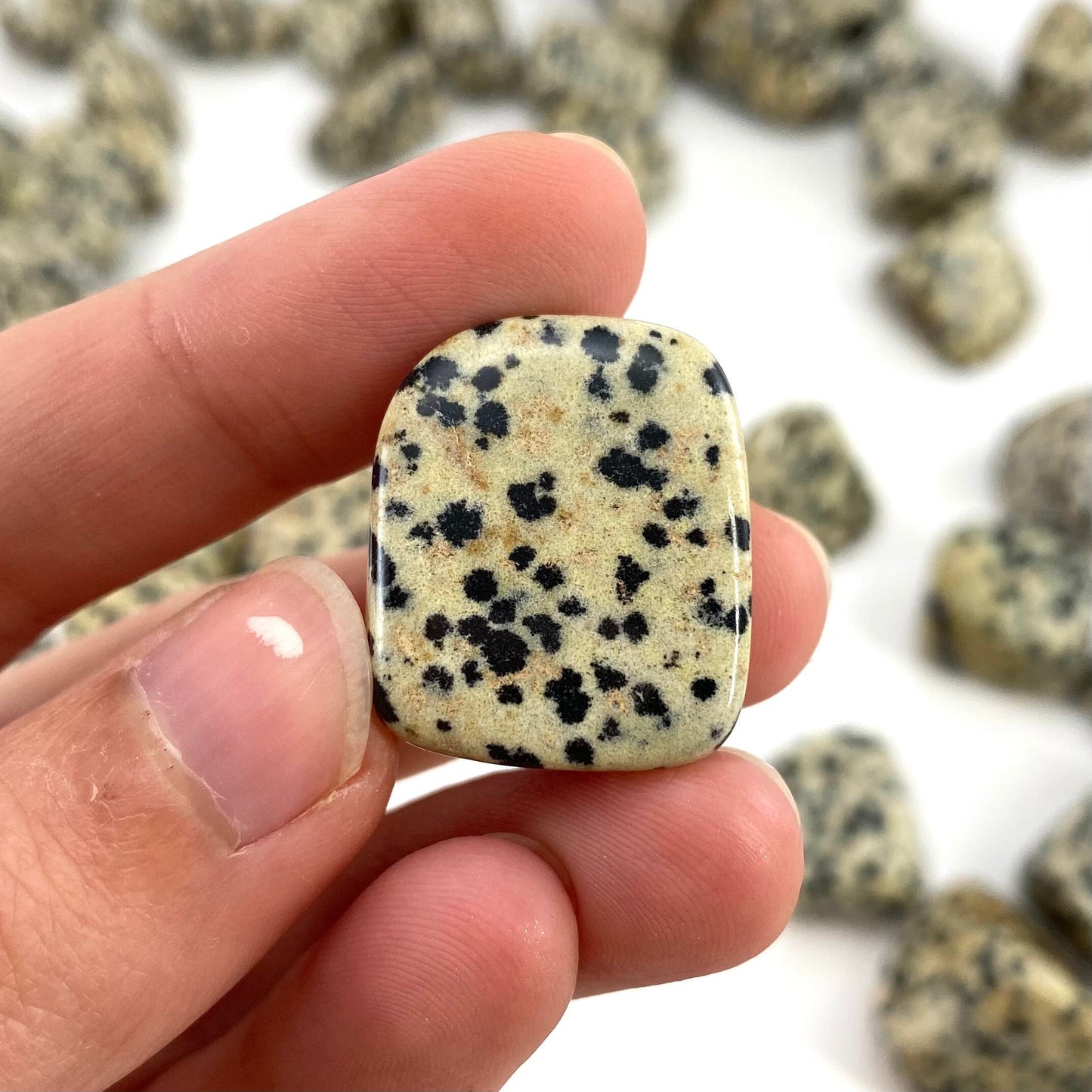 ONE Tumbled Dalmatian Jasper | tumbled stones, tumbled crystal, tumbled Dalmatian jasper, gemstones