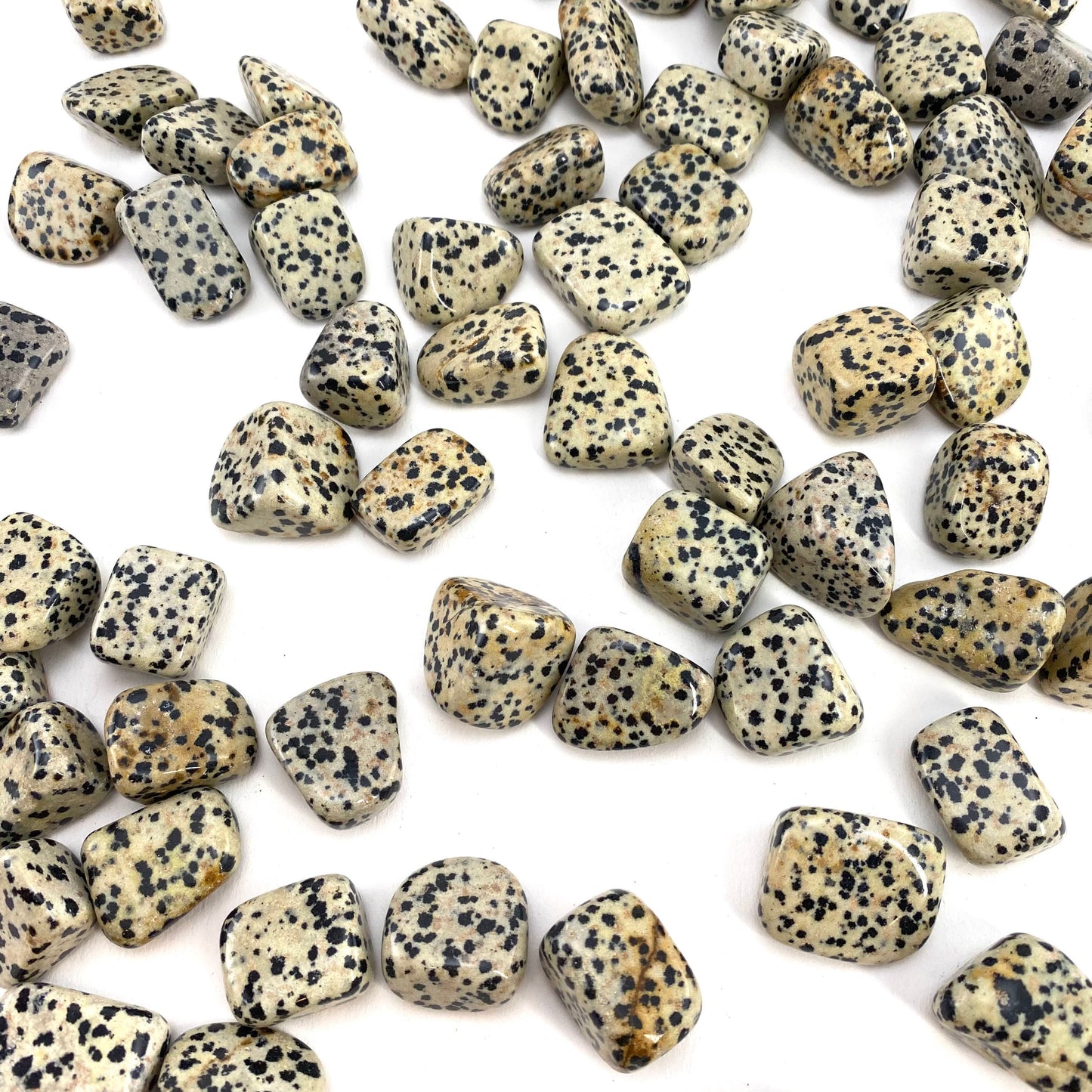 ONE Tumbled Dalmatian Jasper | tumbled stones, tumbled crystal, tumbled Dalmatian jasper, gemstones