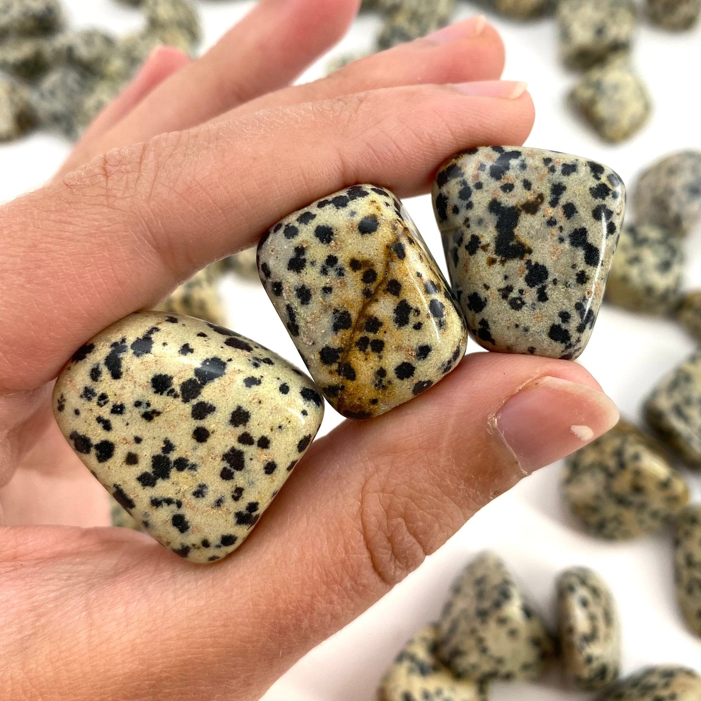 ONE Tumbled Dalmatian Jasper | tumbled stones, tumbled crystal, tumbled Dalmatian jasper, gemstones