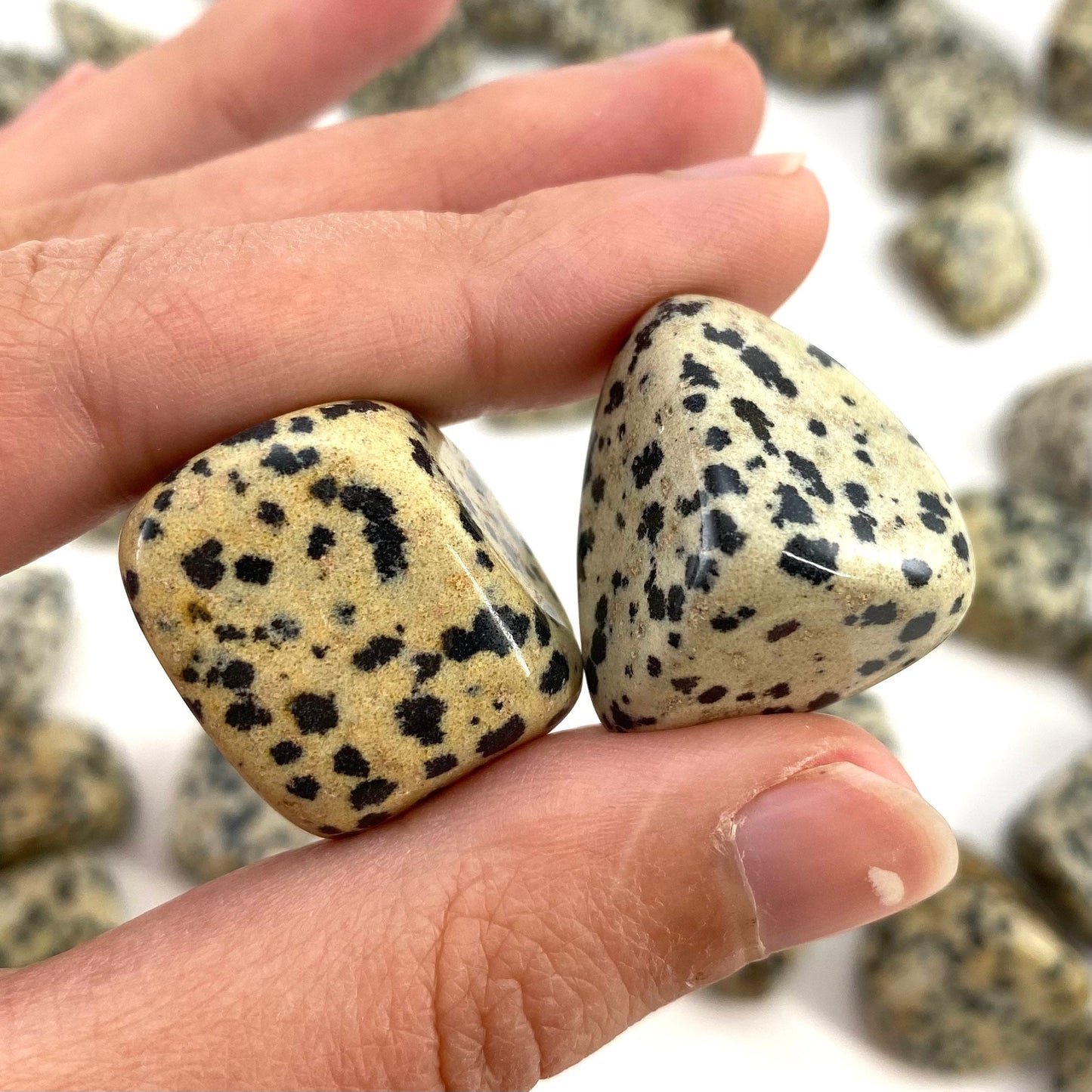 ONE Tumbled Dalmatian Jasper | tumbled stones, tumbled crystal, tumbled Dalmatian jasper, gemstones