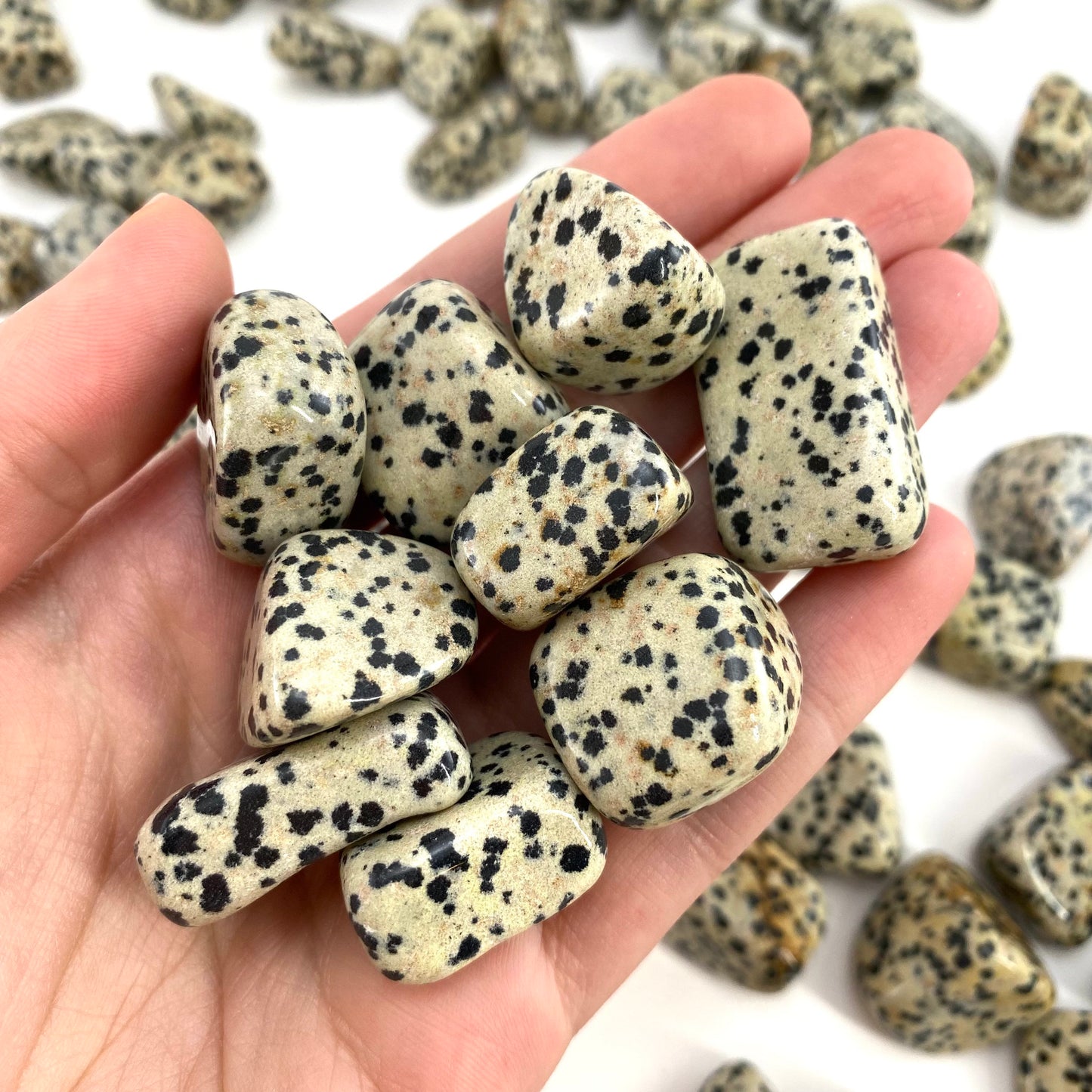 ONE Tumbled Dalmatian Jasper | tumbled stones, tumbled crystal, tumbled Dalmatian jasper, gemstones