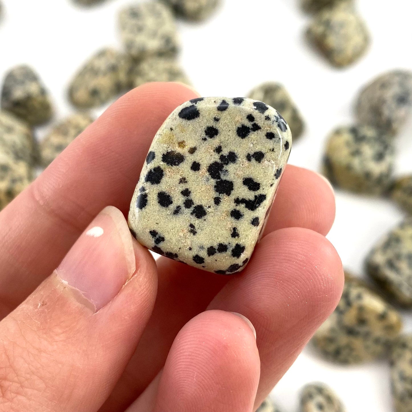 ONE Tumbled Dalmatian Jasper | tumbled stones, tumbled crystal, tumbled Dalmatian jasper, gemstones