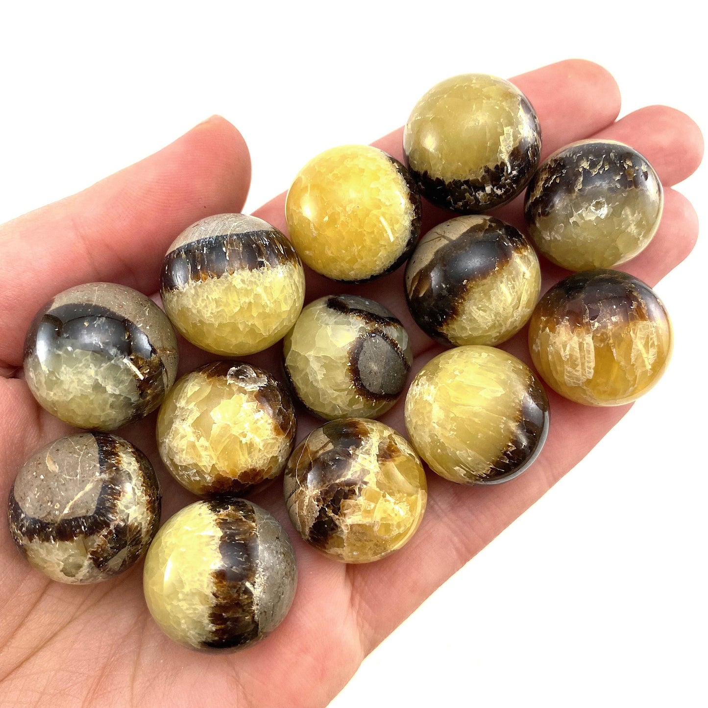 Septarian Sphere, crystal ball, dragon stone, mini sphere, Septarian crystal, crystal sphere