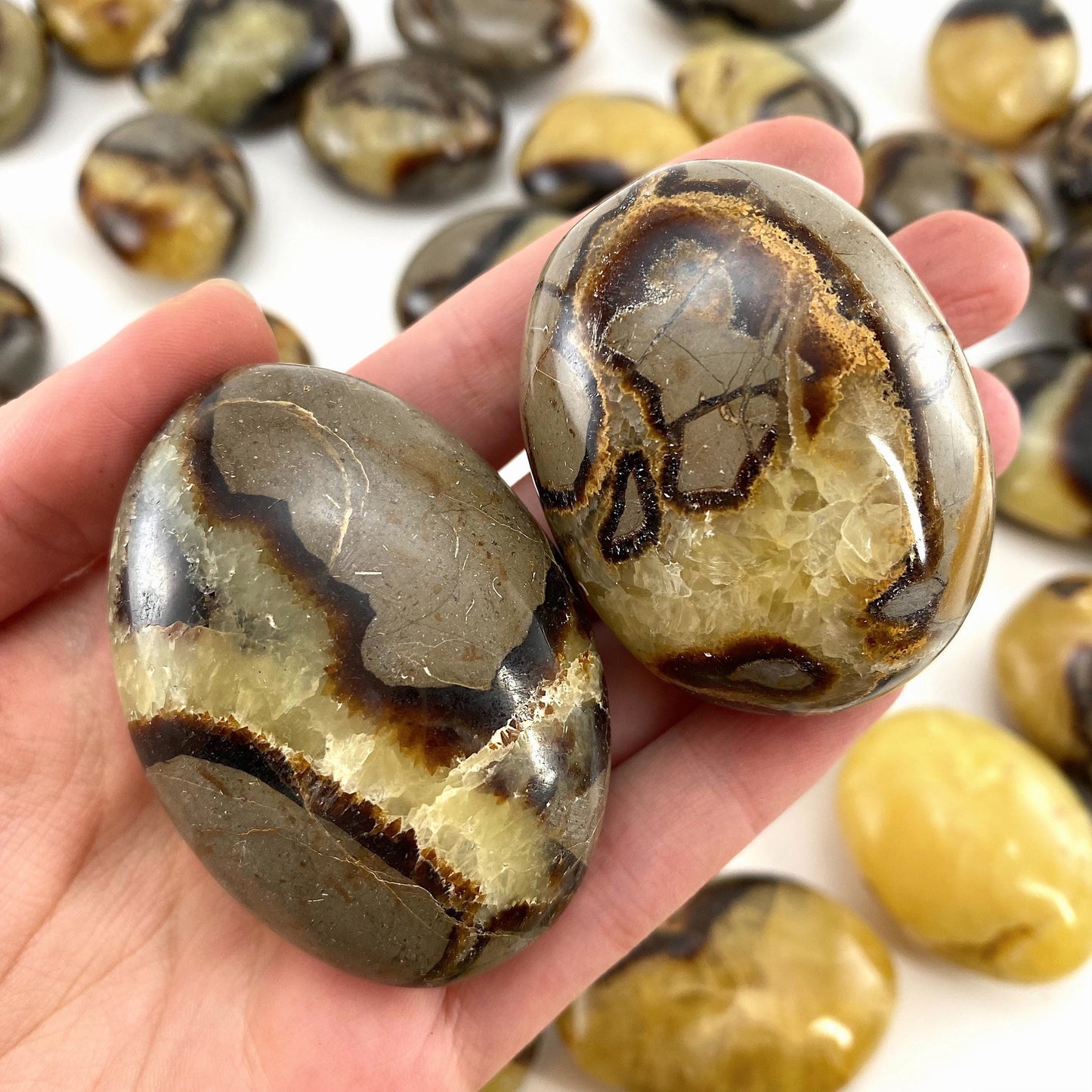 Septarian Palm stone, septarian, pocket stone, dragon stone, palm stone, polished septarian