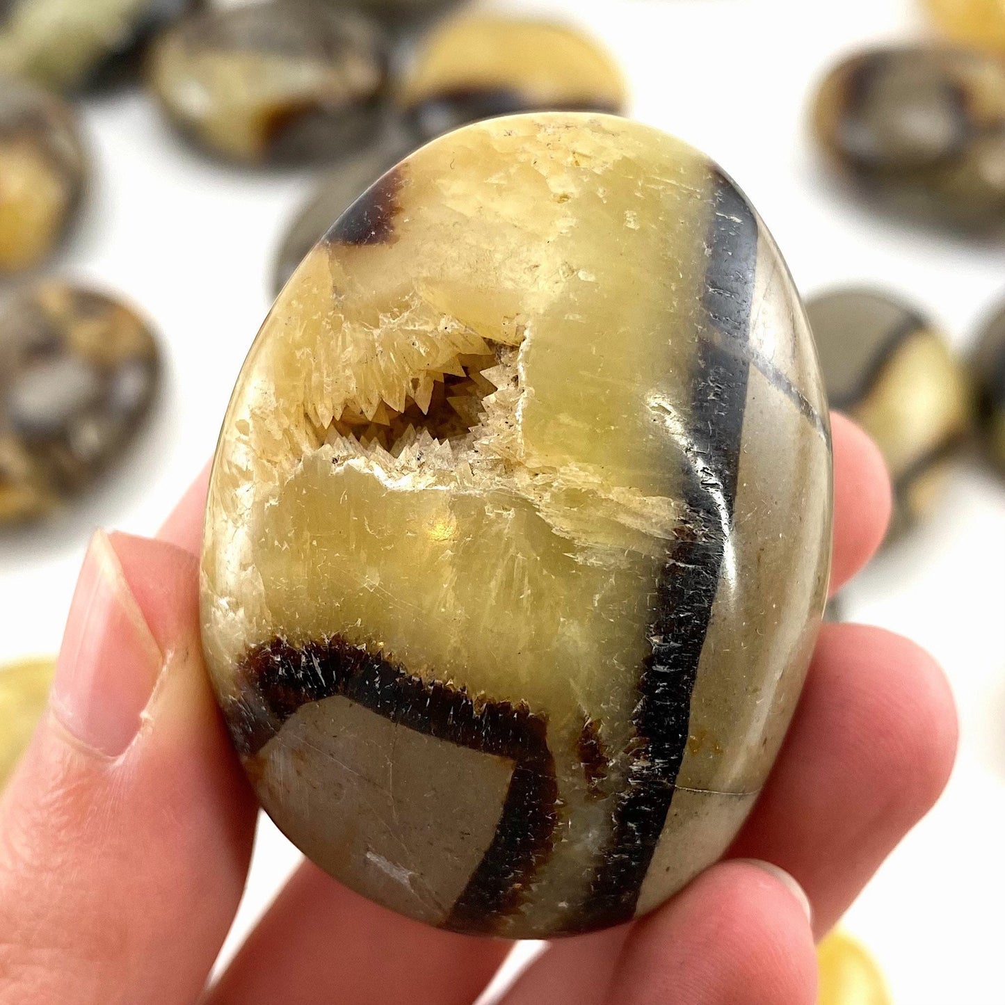 Septarian Palm stone, septarian, pocket stone, dragon stone, palm stone, polished septarian