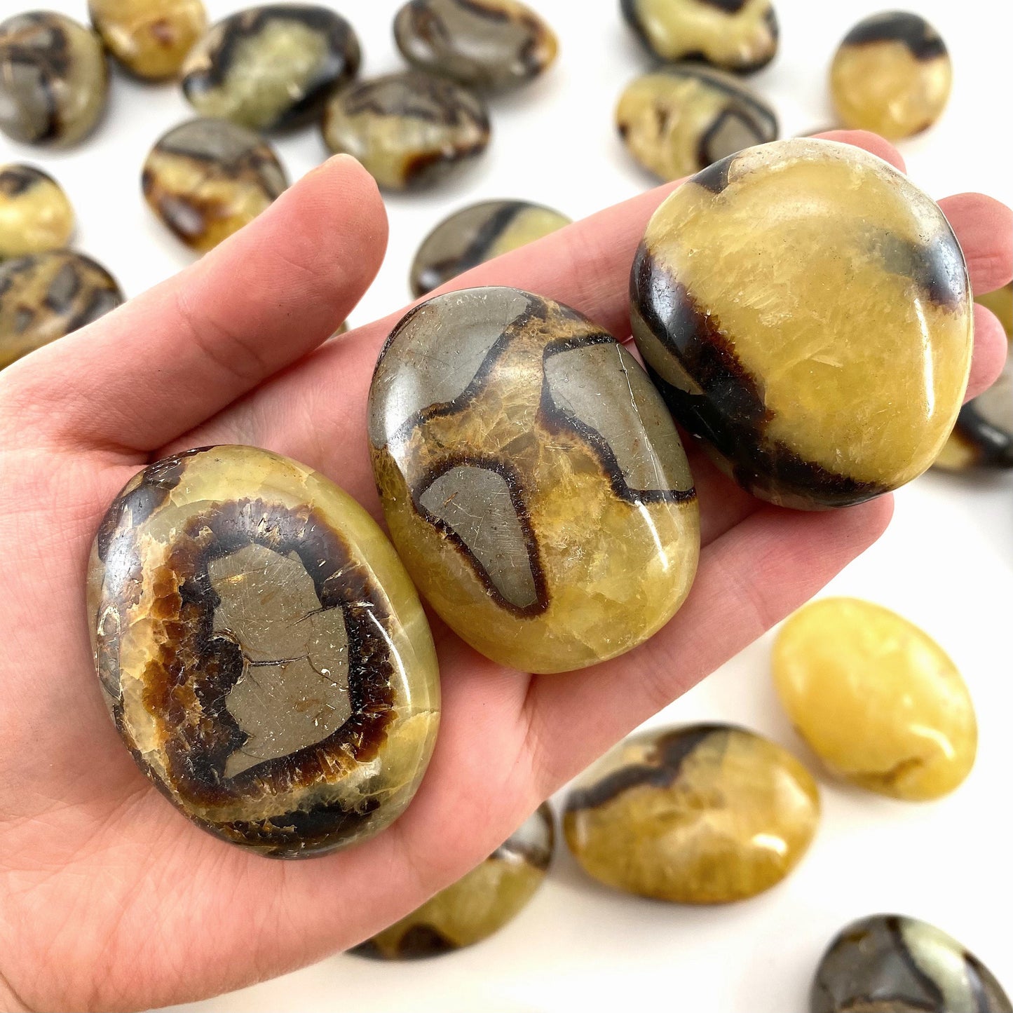 Septarian Palm stone, septarian, pocket stone, dragon stone, palm stone, polished septarian