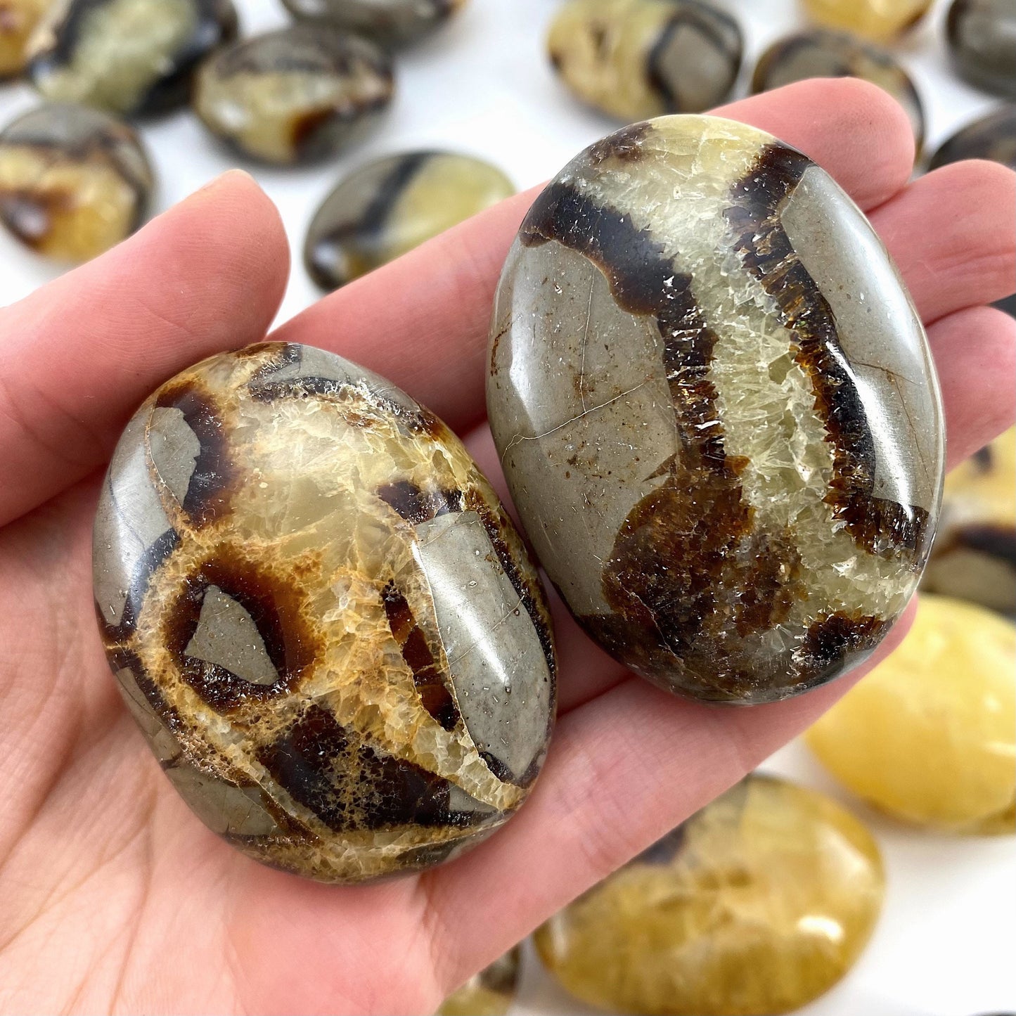 Septarian Palm stone, septarian, pocket stone, dragon stone, palm stone, polished septarian