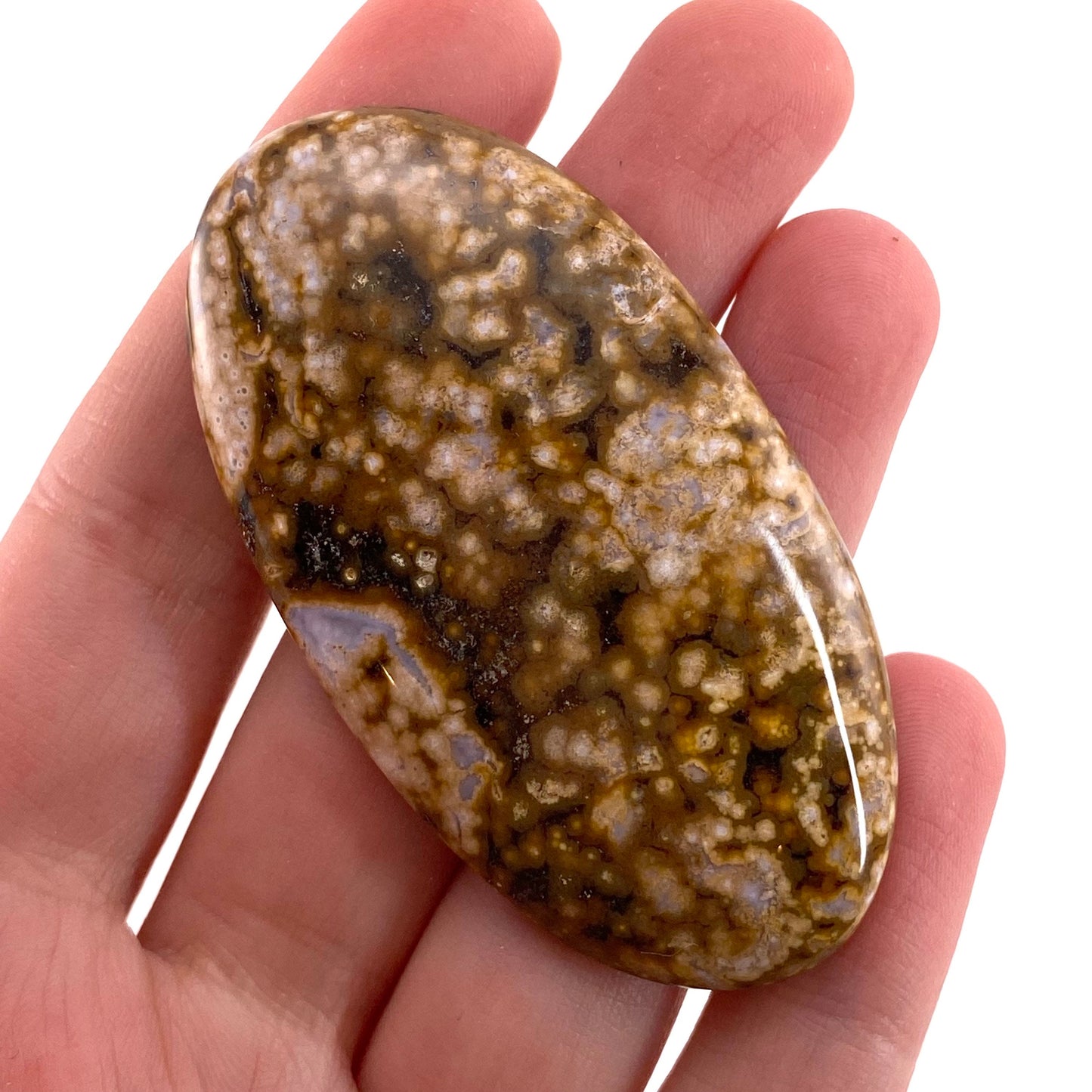Ocean Jasper Cabochon, crystal cabochon, ocean jasper, gemstone cabochon, orbicular jasper, orbicular jasper cabochon
