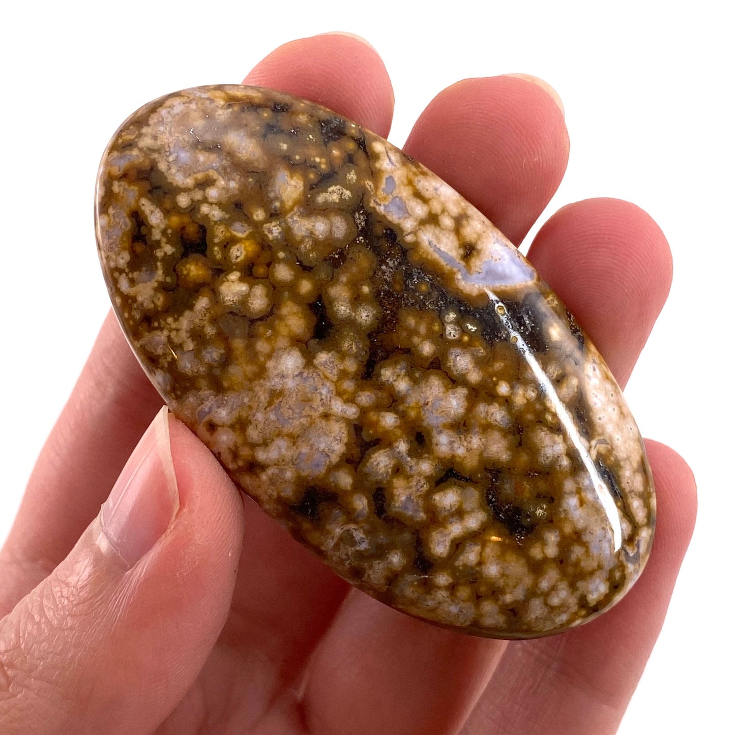Ocean Jasper Cabochon, crystal cabochon, ocean jasper, gemstone cabochon, orbicular jasper, orbicular jasper cabochon