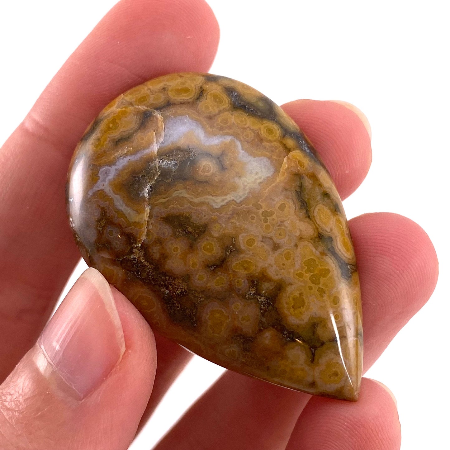 Ocean Jasper Cabochon, crystal cabochon, ocean jasper, gemstone cabochon, orbicular jasper, orbicular jasper cabochon