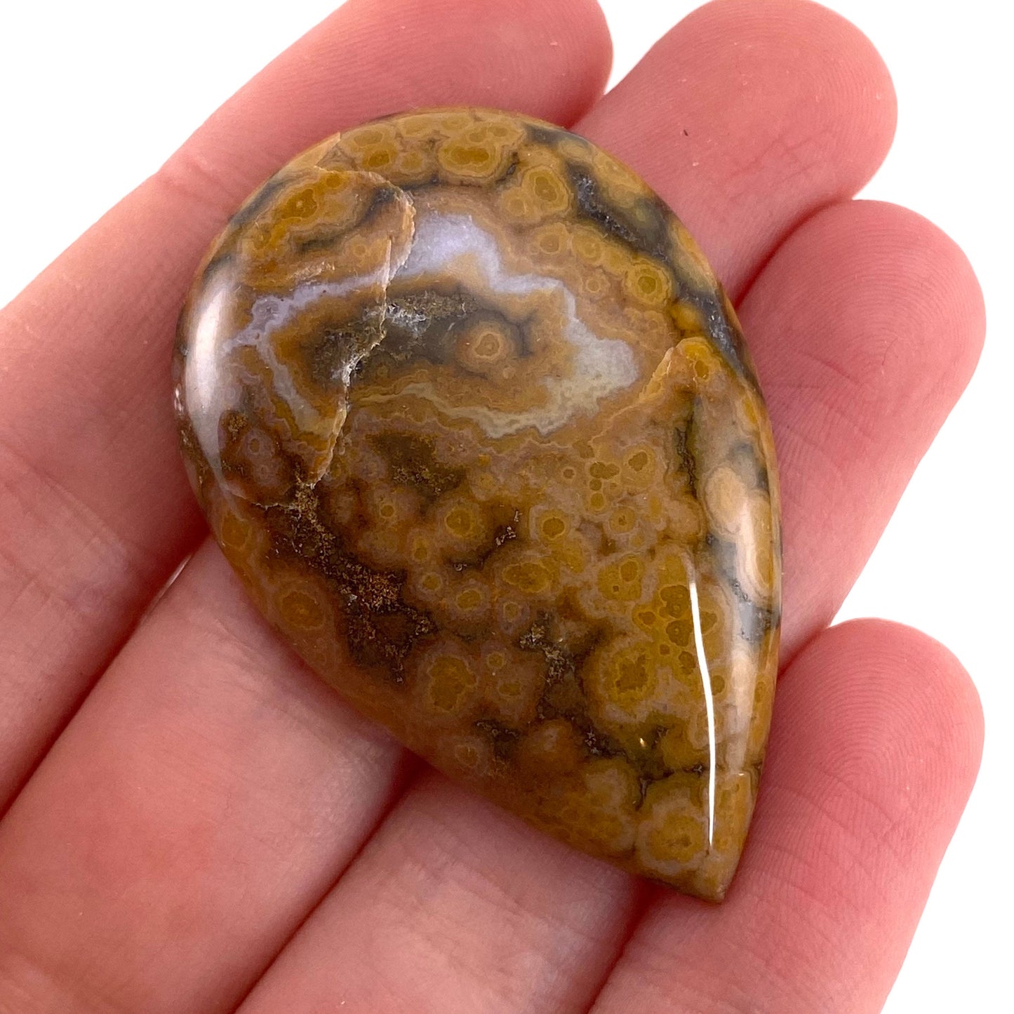Ocean Jasper Cabochon, crystal cabochon, ocean jasper, gemstone cabochon, orbicular jasper, orbicular jasper cabochon