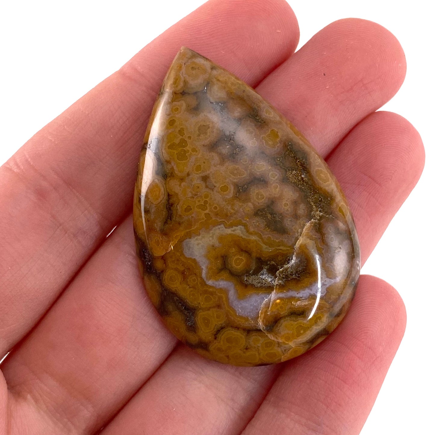 Ocean Jasper Cabochon, crystal cabochon, ocean jasper, gemstone cabochon, orbicular jasper, orbicular jasper cabochon