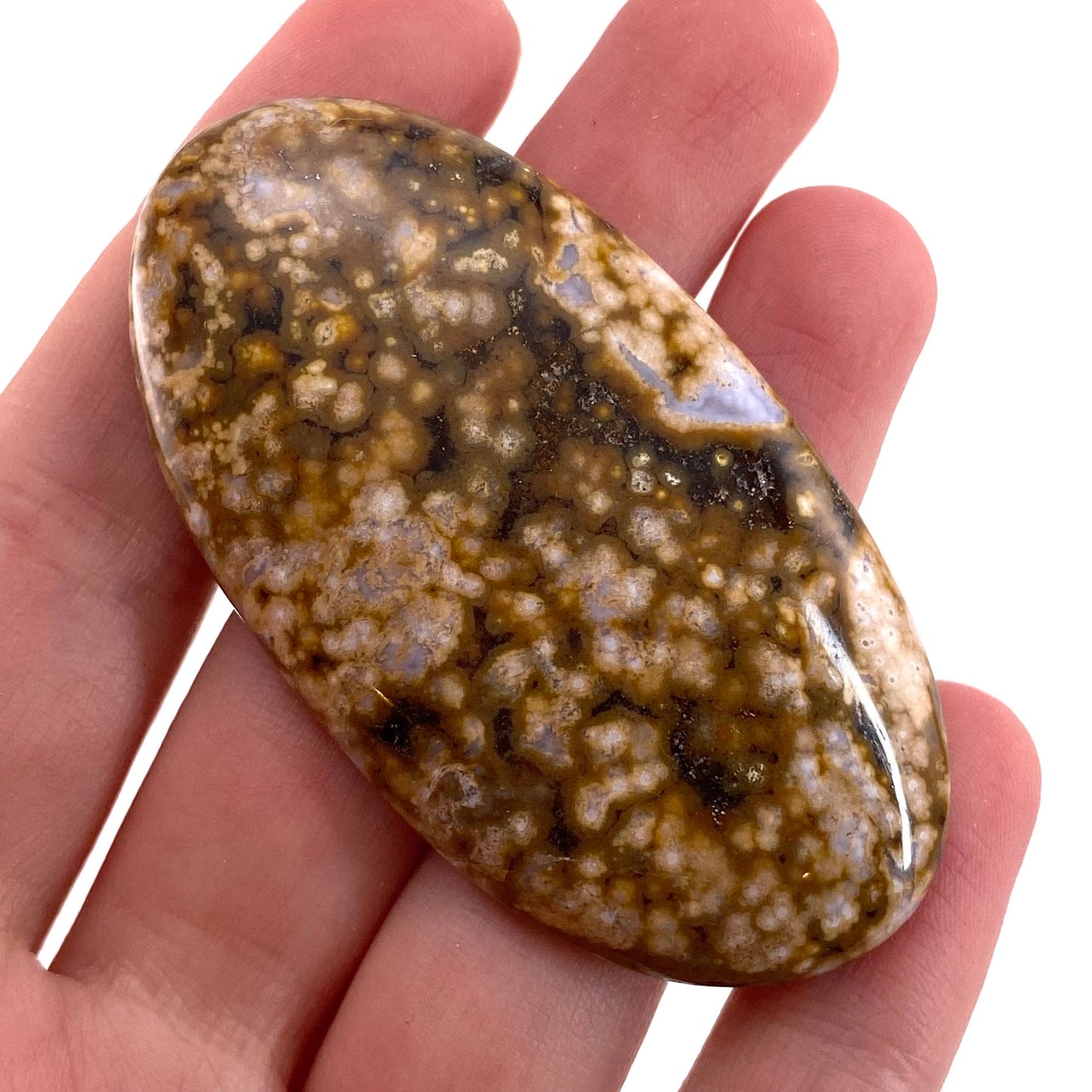 Ocean Jasper Cabochon, crystal cabochon, ocean jasper, gemstone cabochon, orbicular jasper, orbicular jasper cabochon