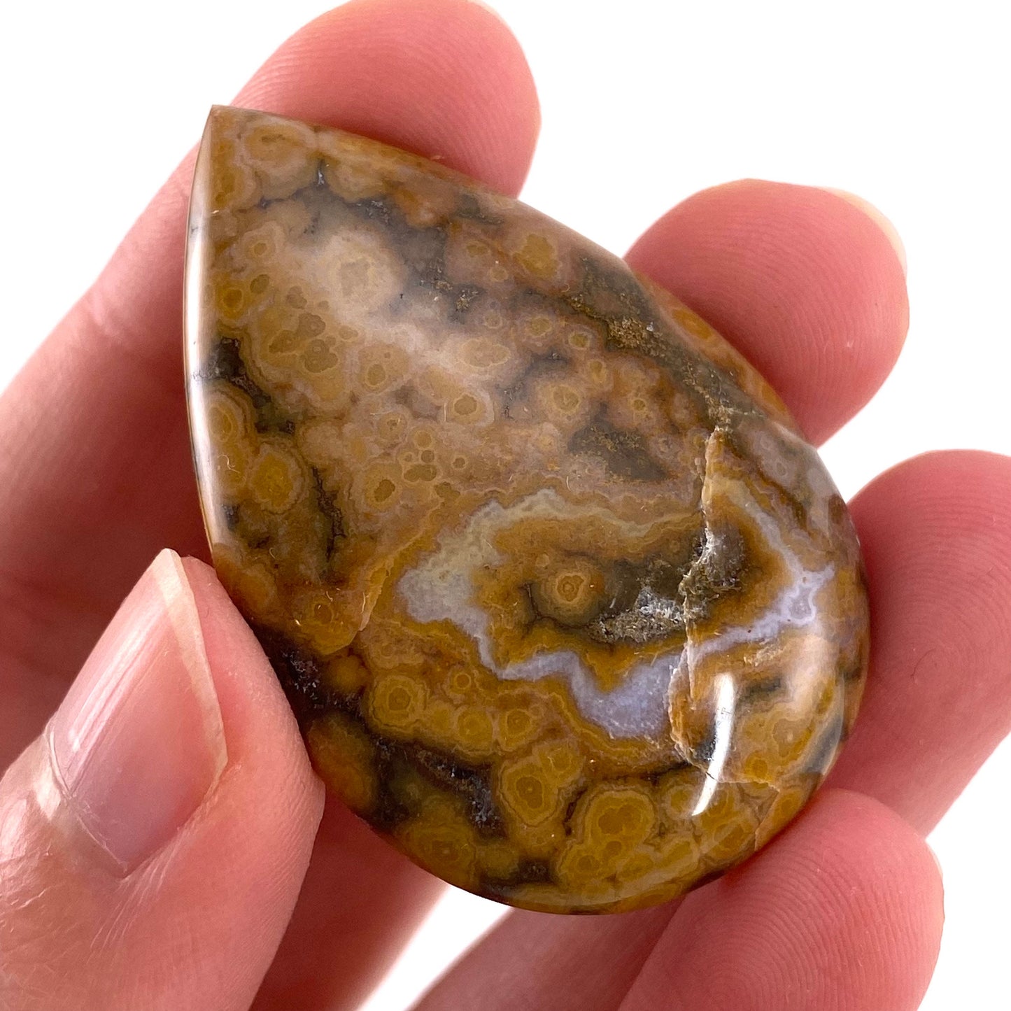 Ocean Jasper Cabochon, crystal cabochon, ocean jasper, gemstone cabochon, orbicular jasper, orbicular jasper cabochon