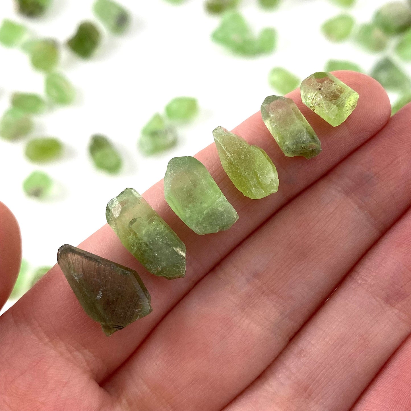 ONE Terminated Peridot Crystal (Pakistan) | Forsterite var. Peridot, raw peridot, natural peridot, peridot crystal, august birthstone