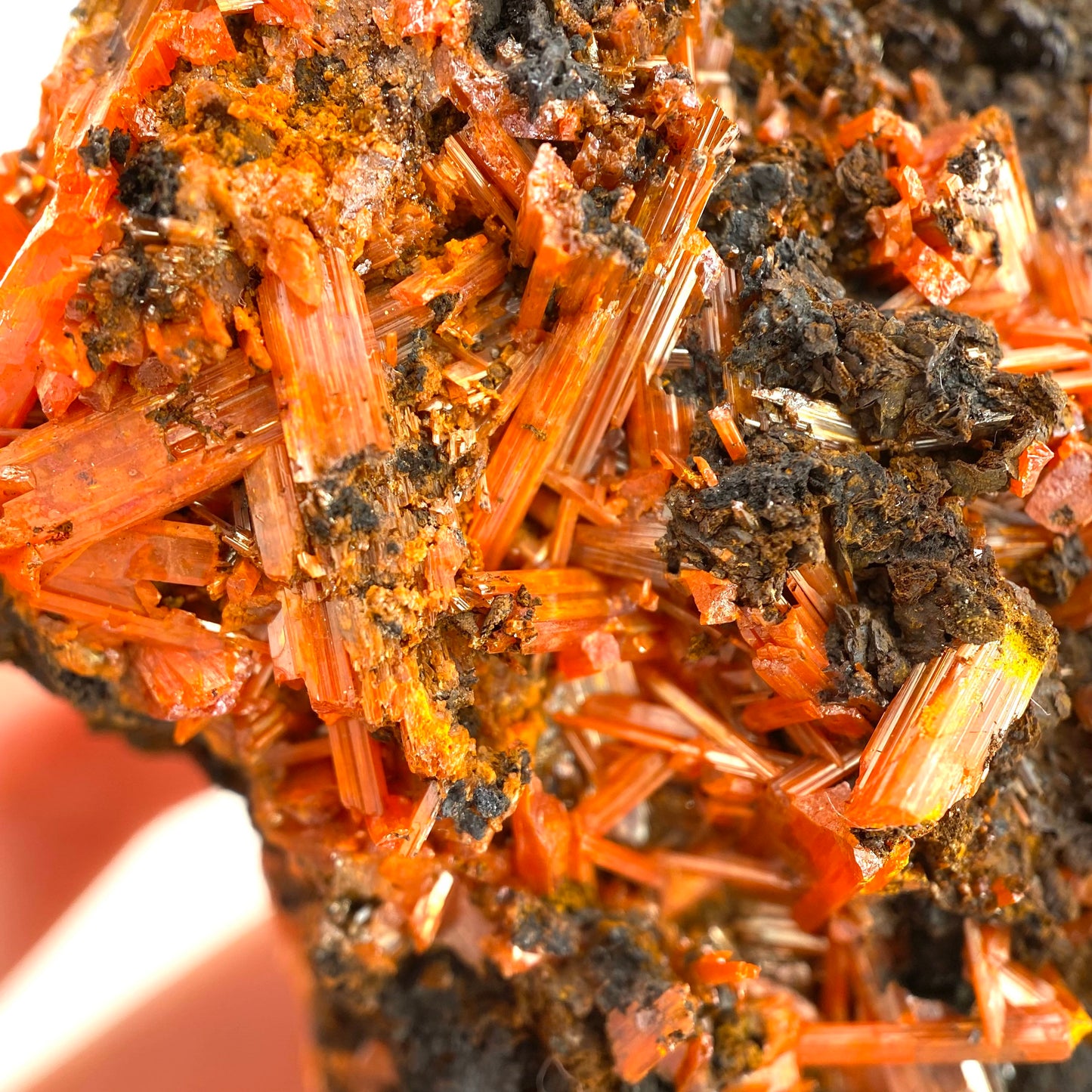 Crocoite Specimen (Australia), raw crocoite, crocoite crystal, orange crocoite, mineral specimen, rare minerals
