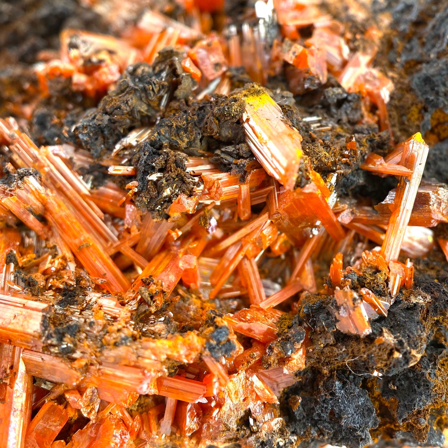 Crocoite Specimen (Australia), raw crocoite, crocoite crystal, orange crocoite, mineral specimen, rare minerals