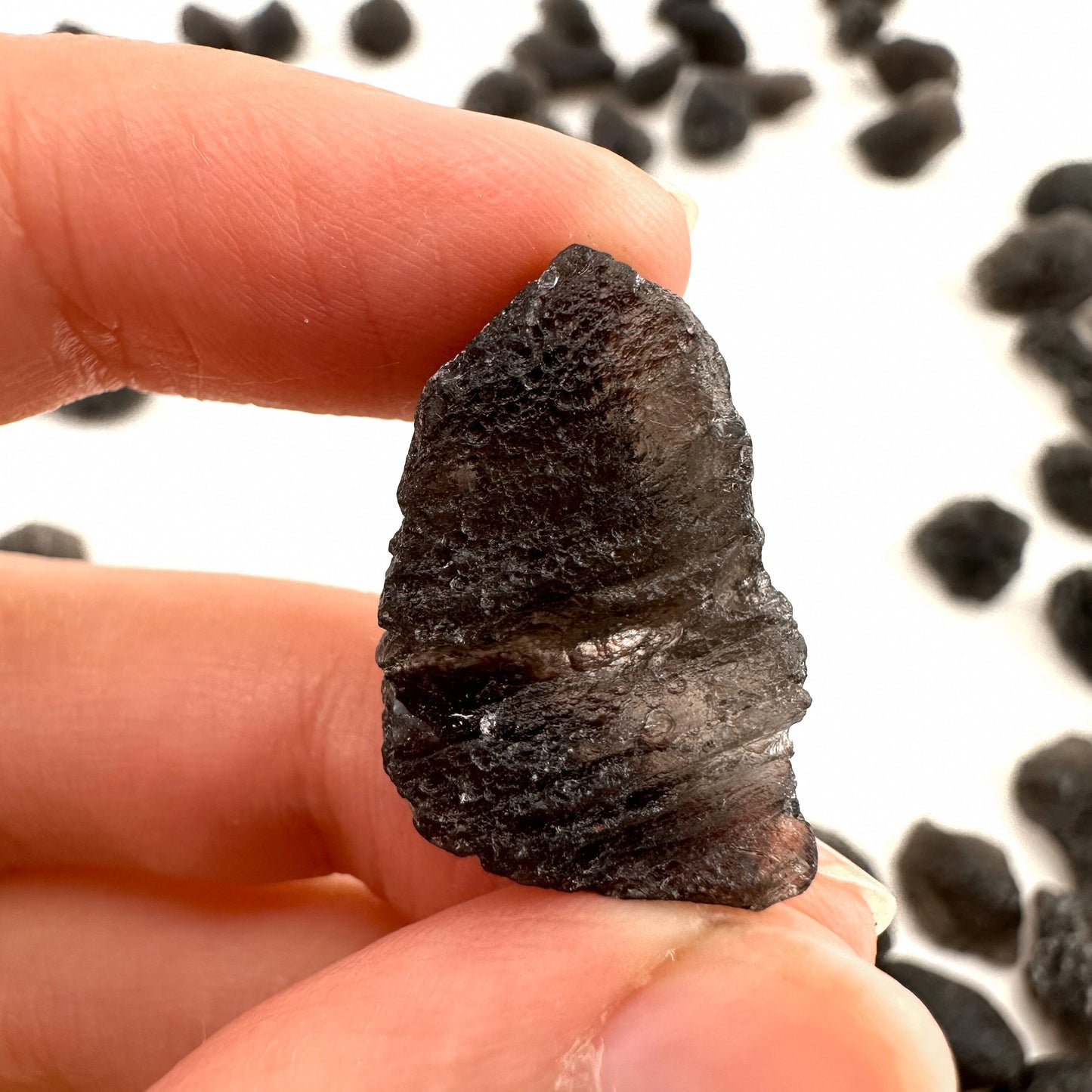 ONE Agni Manitite Pseudo Tektite (Indonesia), pearl of fire, tektite, agni manitite