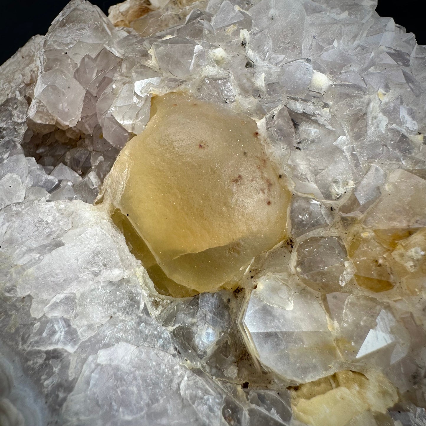Botryoidal Fluorite on Quartz (India) | fried egg crystal, egg fluorite, fluorite crystal, mineral specimen, yellow fluorite
