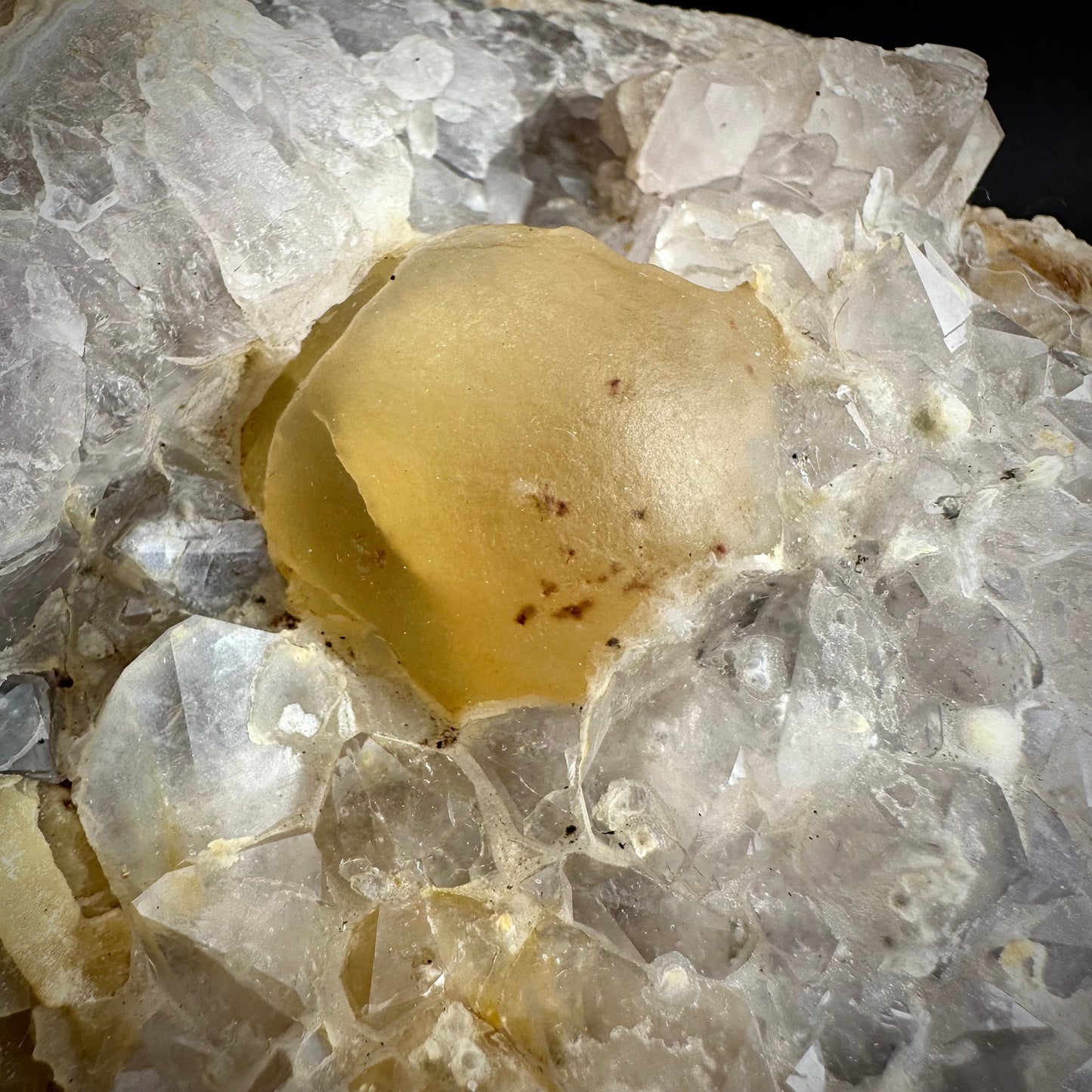 Botryoidal Fluorite on Quartz (India) | fried egg crystal, egg fluorite, fluorite crystal, mineral specimen, yellow fluorite