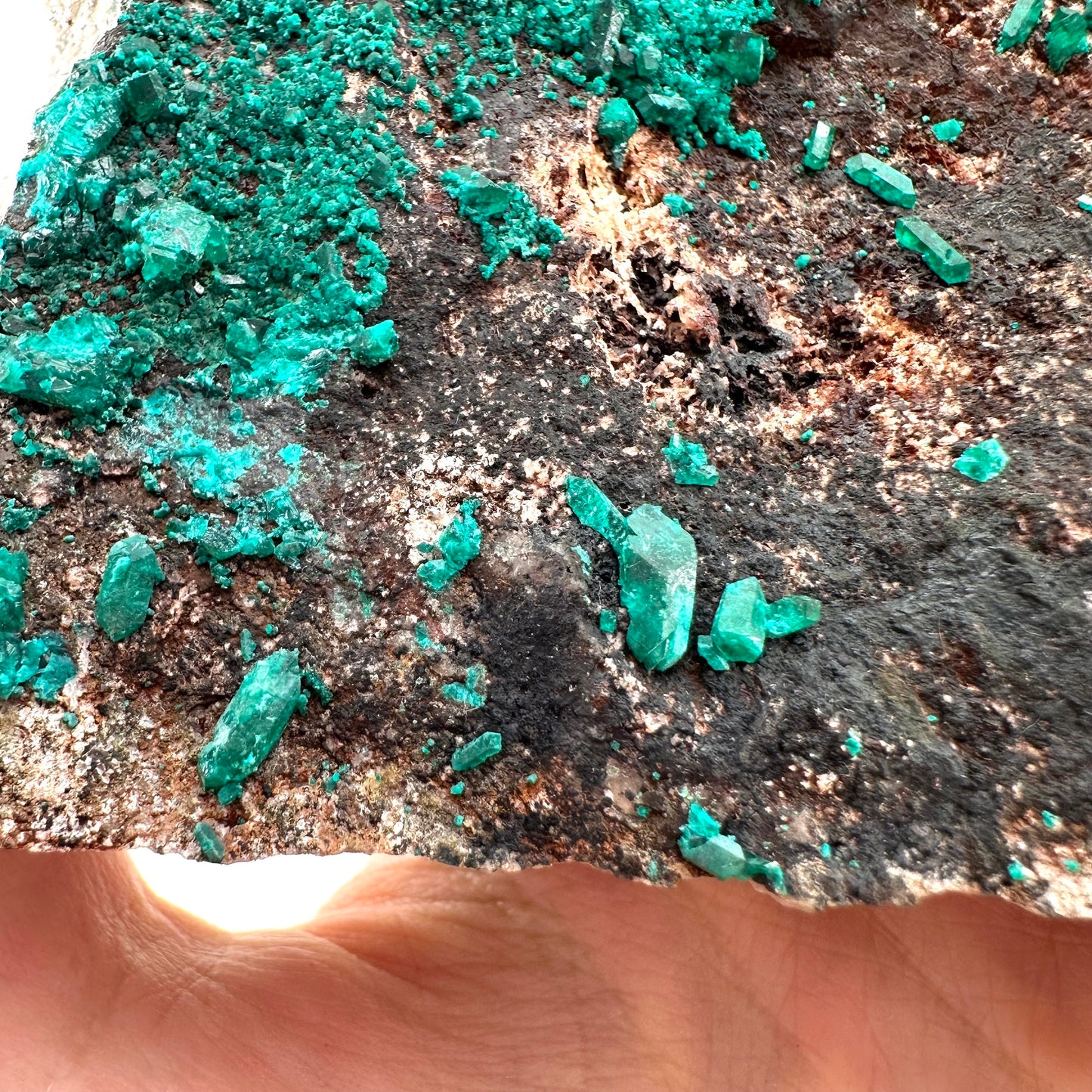 Dioptase Specimen (Namibia), raw dioptase, dioptase crystal, mineral specimen