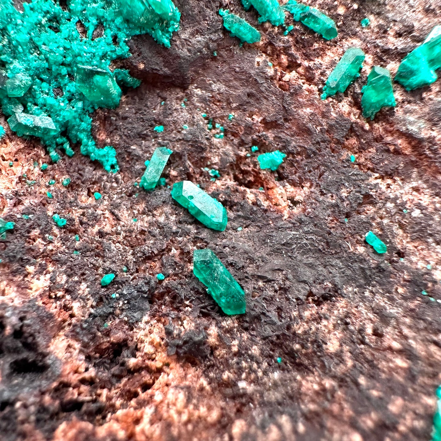 Dioptase Specimen (Namibia), raw dioptase, dioptase crystal, mineral specimen
