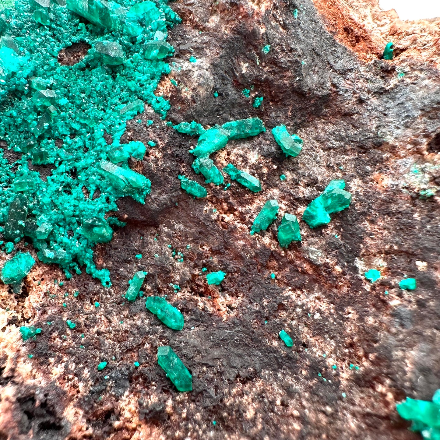 Dioptase Specimen (Namibia), raw dioptase, dioptase crystal, mineral specimen