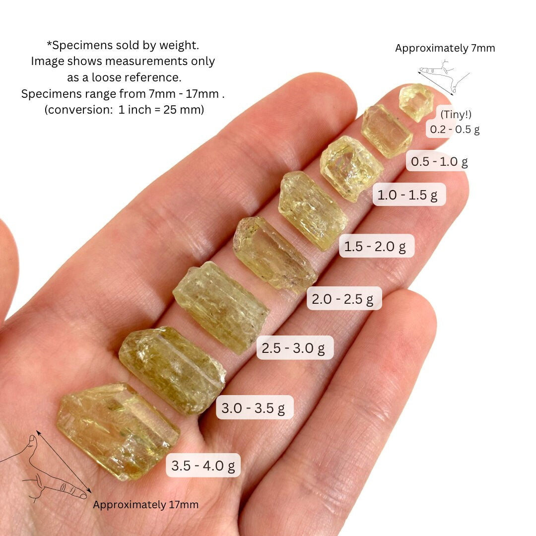 ONE Golden Apatite (Mexico) | raw apatite, natural yellow apatite, apatite crystal, mineral specimen, golden apatite crystal