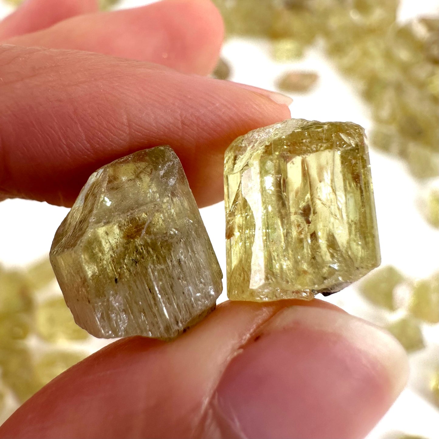 ONE Golden Apatite (Mexico) | raw apatite, natural yellow apatite, apatite crystal, mineral specimen, golden apatite crystal