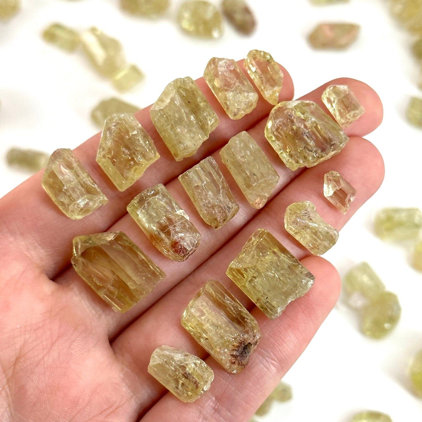 ONE Golden Apatite (Mexico) | raw apatite, natural yellow apatite, apatite crystal, mineral specimen, golden apatite crystal