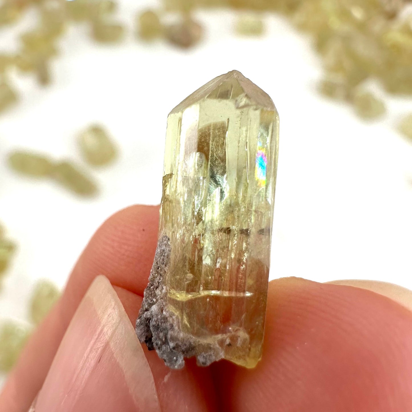 ONE Golden Apatite (Mexico) | raw apatite, natural yellow apatite, apatite crystal, mineral specimen, golden apatite crystal