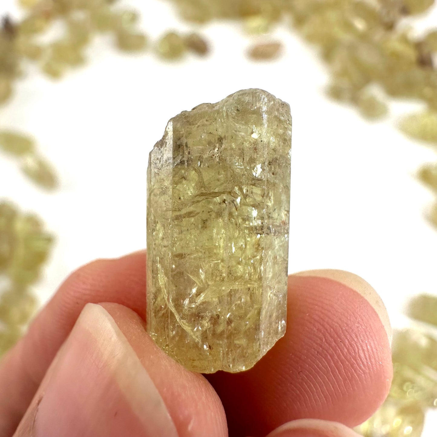 ONE Golden Apatite (Mexico) | raw apatite, natural yellow apatite, apatite crystal, mineral specimen, golden apatite crystal