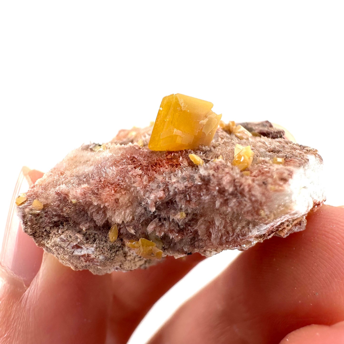 Wulfenite with Mimetite (Mexico), raw wulfenite, yellow wulfenite, wulfenite on matrix, mimetite, mineral specimen