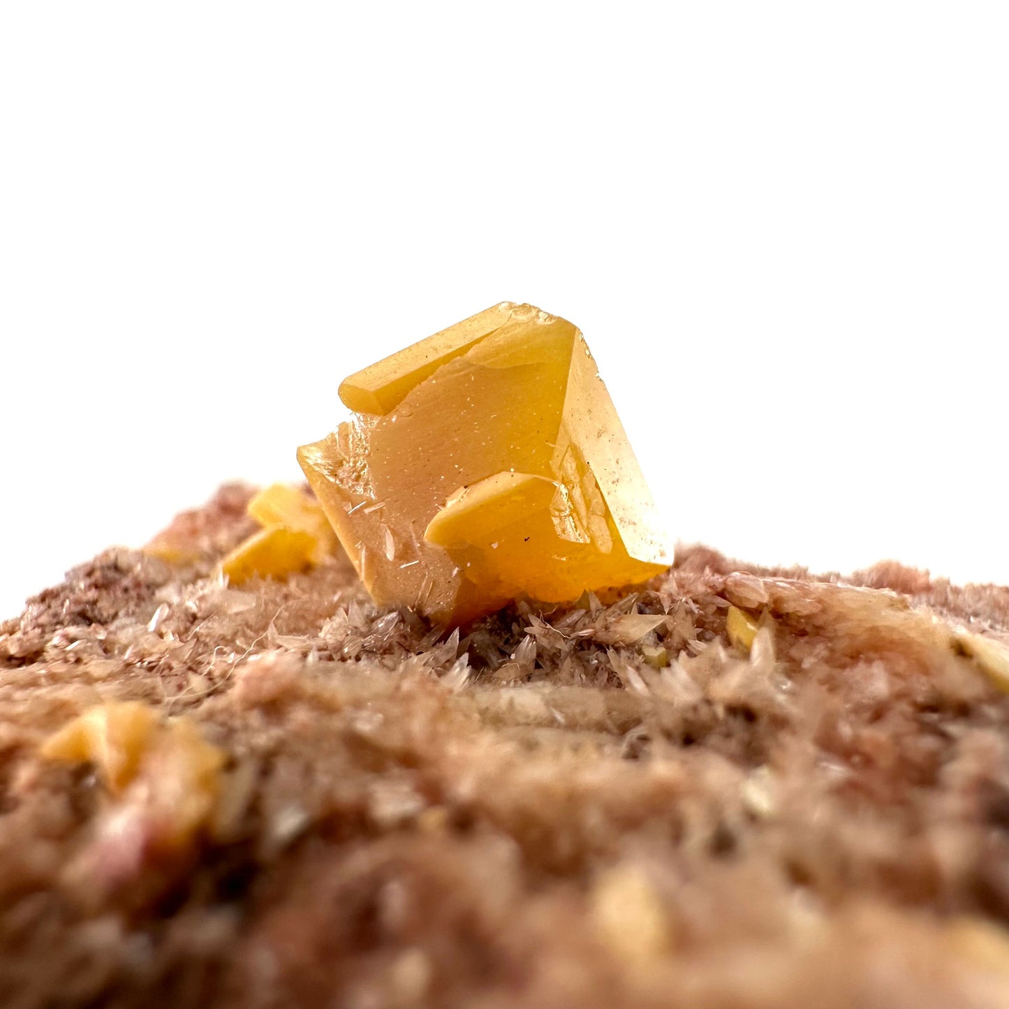 Wulfenite with Mimetite (Mexico), raw wulfenite, yellow wulfenite, wulfenite on matrix, mimetite, mineral specimen