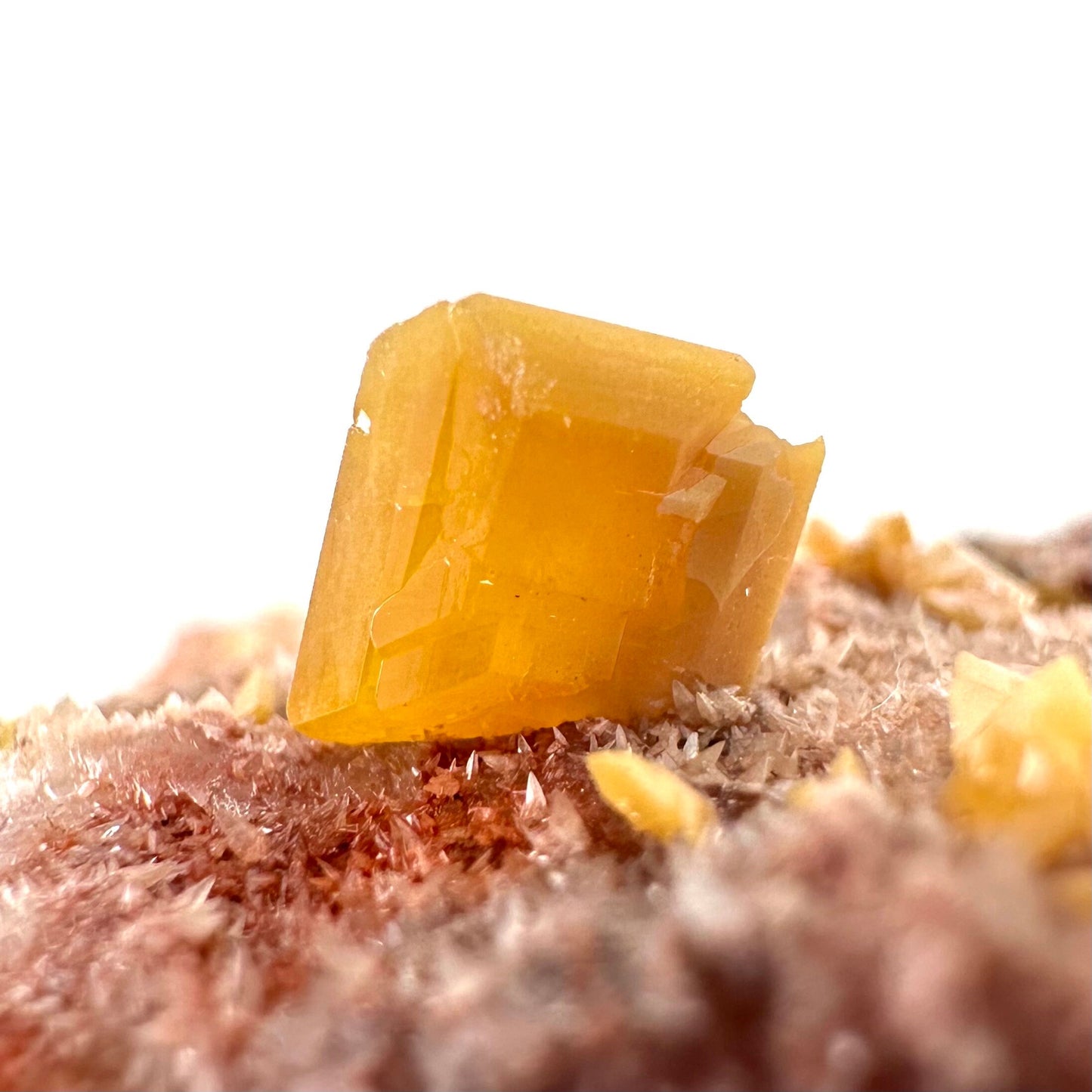 Wulfenite with Mimetite (Mexico), raw wulfenite, yellow wulfenite, wulfenite on matrix, mimetite, mineral specimen