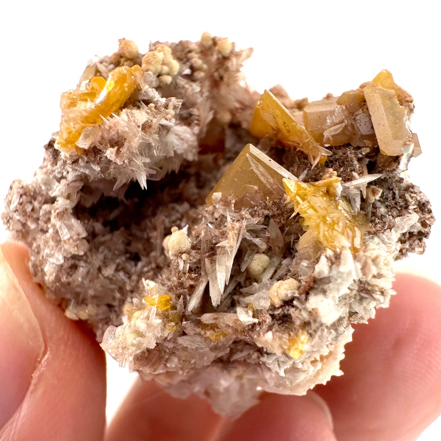 Wulfenite with Mimetite (Mexico), raw wulfenite, yellow wulfenite, wulfenite on matrix, mimetite, mineral specimen