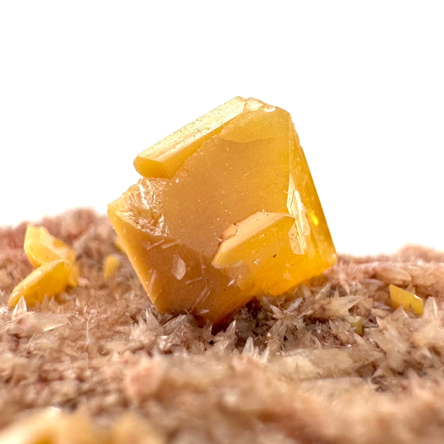 Wulfenite with Mimetite (Mexico), raw wulfenite, yellow wulfenite, wulfenite on matrix, mimetite, mineral specimen