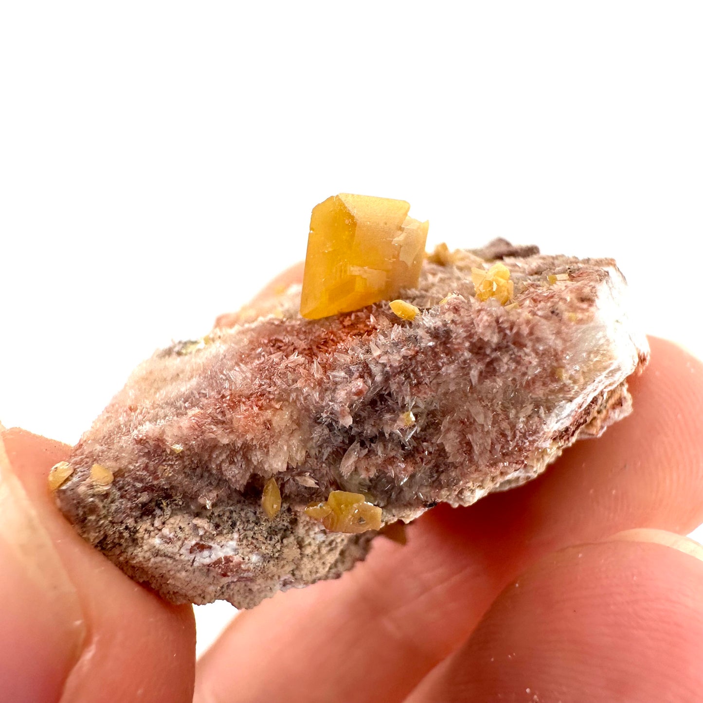 Wulfenite with Mimetite (Mexico), raw wulfenite, yellow wulfenite, wulfenite on matrix, mimetite, mineral specimen