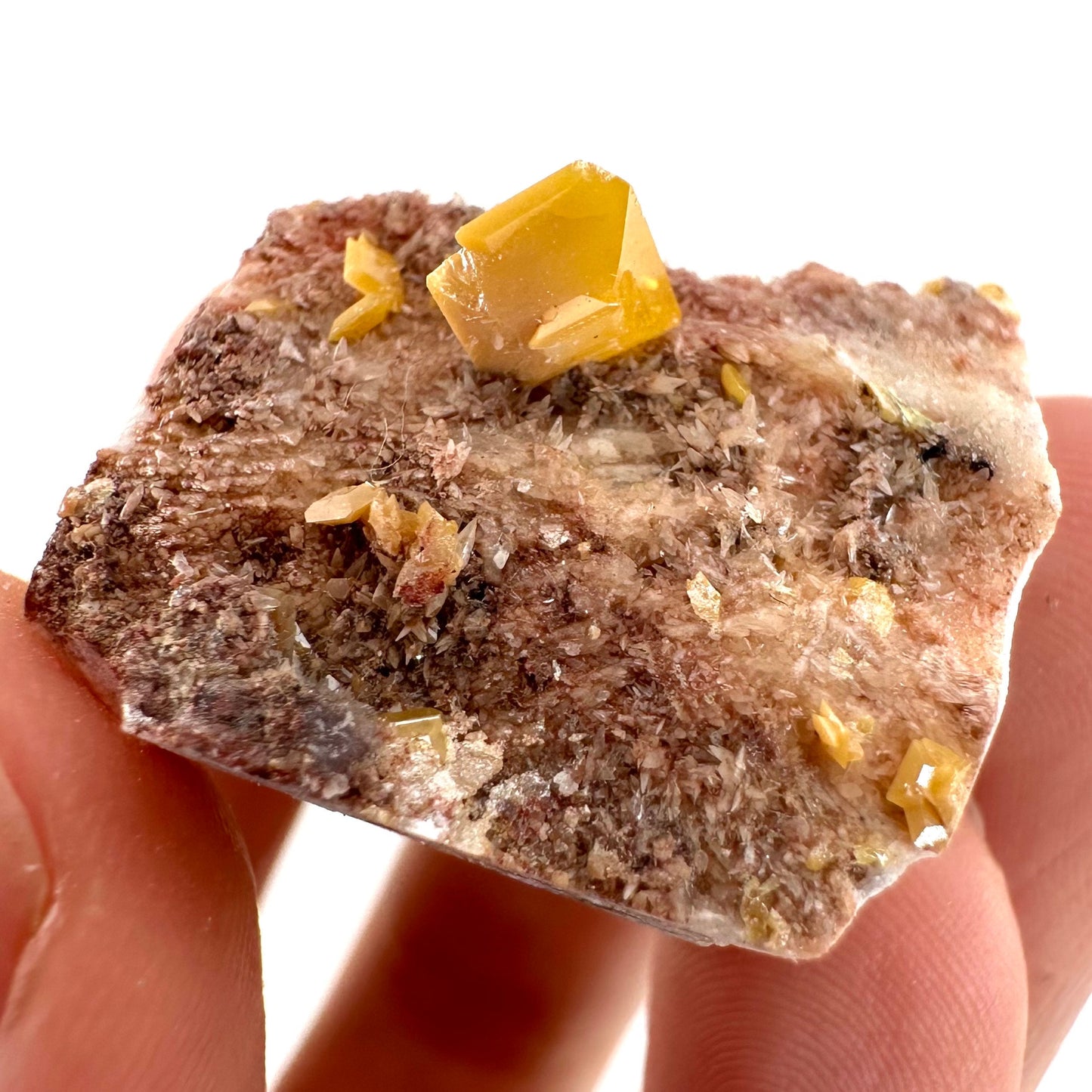 Wulfenite with Mimetite (Mexico), raw wulfenite, yellow wulfenite, wulfenite on matrix, mimetite, mineral specimen