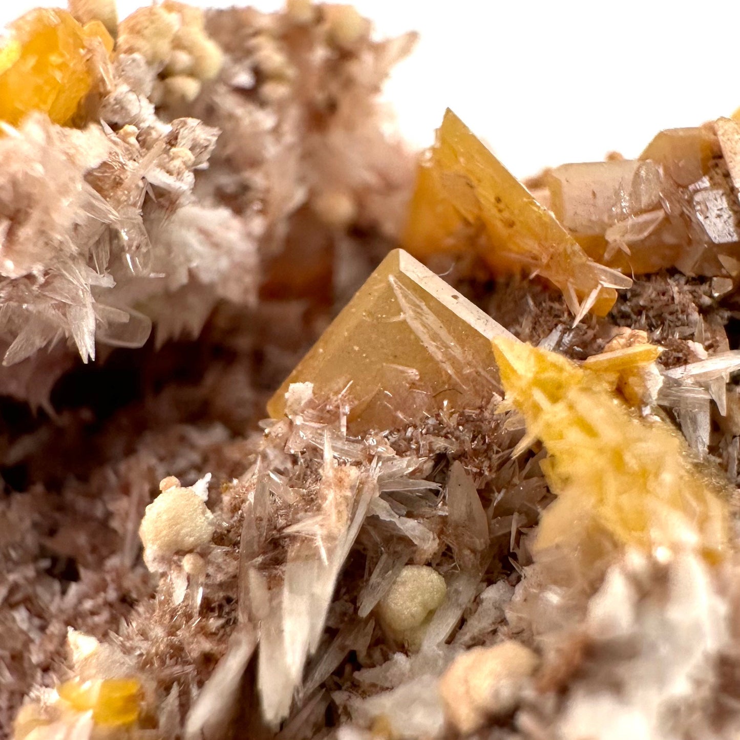 Wulfenite with Mimetite (Mexico), raw wulfenite, yellow wulfenite, wulfenite on matrix, mimetite, mineral specimen