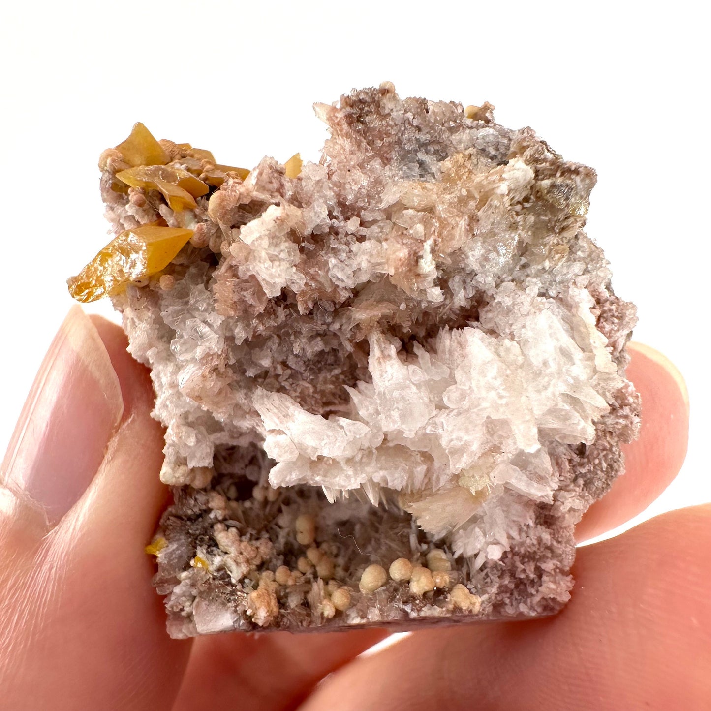 Wulfenite with Mimetite (Mexico), raw wulfenite, yellow wulfenite, wulfenite on matrix, mimetite, mineral specimen